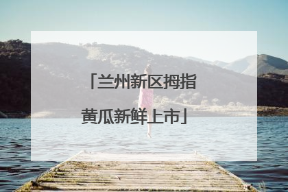 兰州新区拇指黄瓜新鲜上市