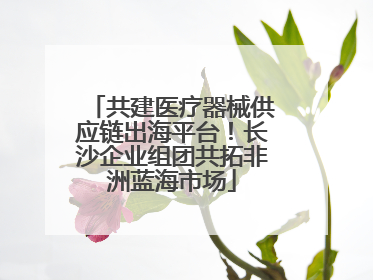 共建医疗器械供应链出海平台！长沙企业组团共拓非洲蓝海市场