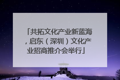 共拓文化产业新蓝海，启东（深圳）文化产业招商推介会举行