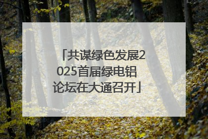 共谋绿色发展2025首届绿电铝论坛在大通召开