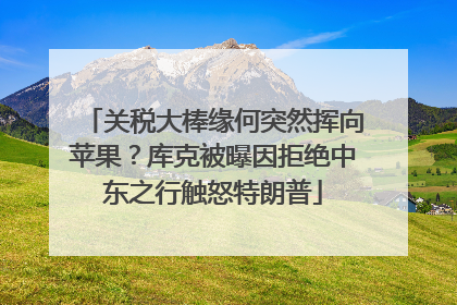 关税大棒缘何突然挥向苹果？库克被曝因拒绝中东之行触怒特朗普