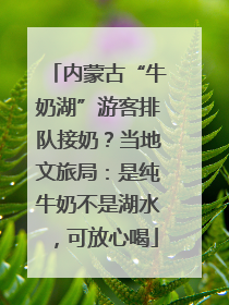 内蒙古“牛奶湖”游客排队接奶？当地文旅局：是纯牛奶不是湖水，可放心喝
