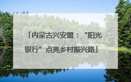 内蒙古兴安盟：“阳光银行”点亮乡村振兴路