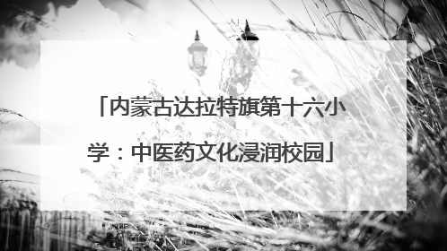 内蒙古达拉特旗第十六小学：中医药文化浸润校园
