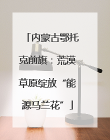 内蒙古鄂托克前旗：荒漠草原绽放“能源马兰花”