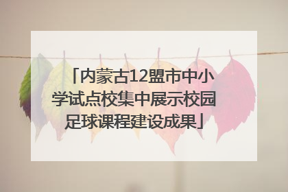 内蒙古12盟市中小学试点校集中展示校园足球课程建设成果