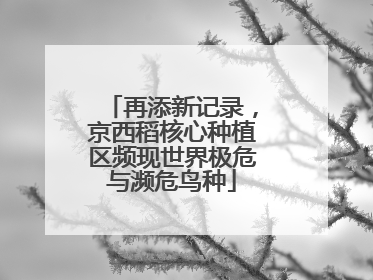 再添新记录，京西稻核心种植区频现世界极危与濒危鸟种