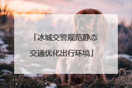 冰城交警规范静态交通优化出行环境