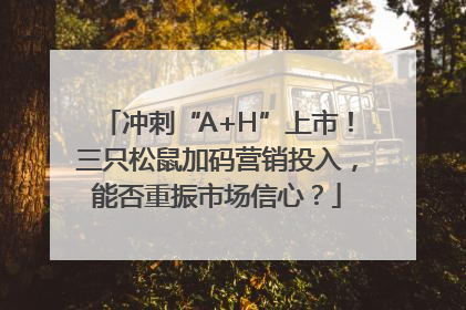 冲刺“A+H”上市！三只松鼠加码营销投入，能否重振市场信心？