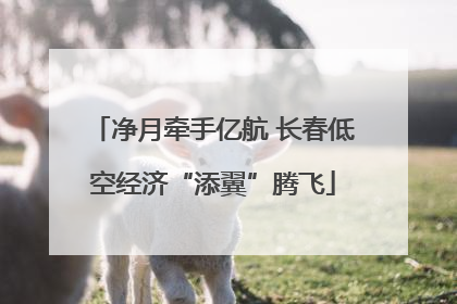 净月牵手亿航 长春低空经济“添翼”腾飞