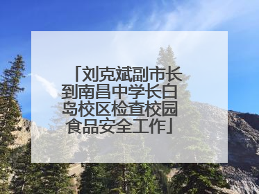刘克斌副市长到南昌中学长白岛校区检查校园食品安全工作