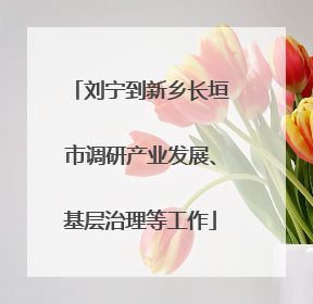 刘宁到新乡长垣市调研产业发展、基层治理等工作