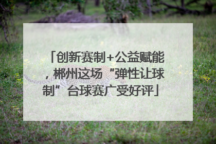 创新赛制+公益赋能，郴州这场“弹性让球制”台球赛广受好评