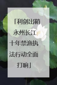利剑出鞘 永州长江十年禁渔执法行动全面打响