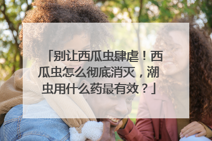别让西瓜虫肆虐！西瓜虫怎么彻底消灭，潮虫用什么药最有效？