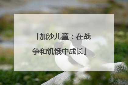 加沙儿童：在战争和饥饿中成长