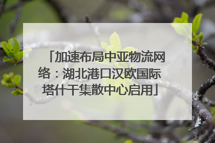 加速布局中亚物流网络：湖北港口汉欧国际塔什干集散中心启用