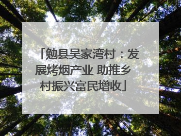 勉县吴家湾村：发展烤烟产业 助推乡村振兴富民增收