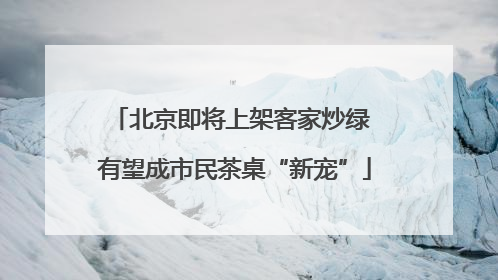 北京即将上架客家炒绿 有望成市民茶桌“新宠”
