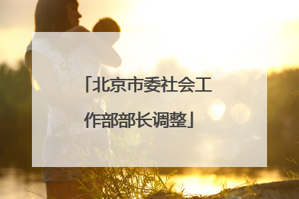 北京市委社会工作部部长调整