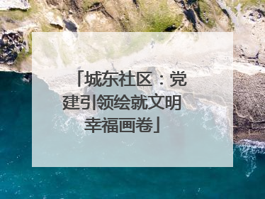 城东社区：党建引领绘就文明幸福画卷