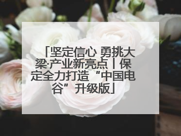 坚定信心 勇挑大梁·产业新亮点丨保定全力打造“中国电谷”升级版