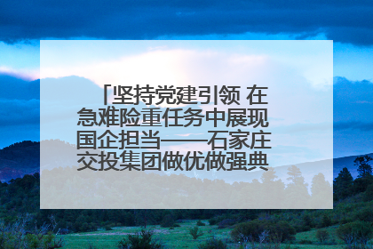 坚持党建引领 在急难险重任务中展现国企担当——石家庄交投集团做优做强典型报道之一