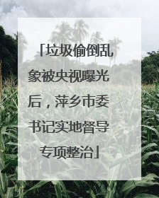 垃圾偷倒乱象被央视曝光后，萍乡市委书记实地督导专项整治