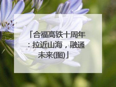 合福高铁十周年：拉近山海，融通未来(图)