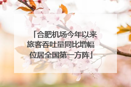 合肥机场今年以来旅客吞吐量同比增幅位居全国第一方阵