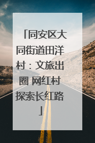 同安区大同街道田洋村：文旅出圈 网红村探索长红路