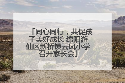 同心同行，共促孩子美好成长 绵阳游仙区新桥镇云凤小学召开家长会