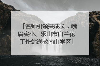 名师引领共成长，峨眉实小、乐山市白兰花工作站送教南山学区