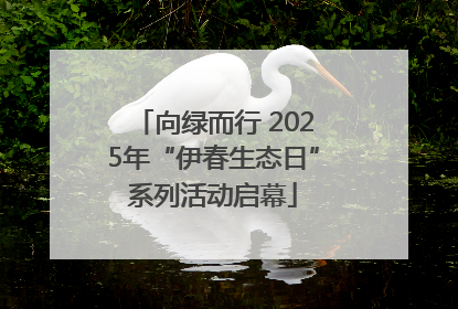 向绿而行 2025年“伊春生态日”系列活动启幕