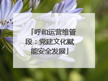 呼和运营维管段：党建文化赋能安全发展