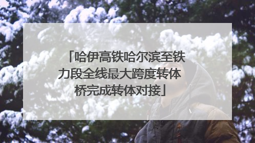哈伊高铁哈尔滨至铁力段全线最大跨度转体桥完成转体对接