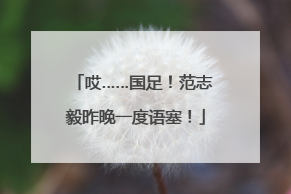 哎……国足！范志毅昨晚一度语塞！