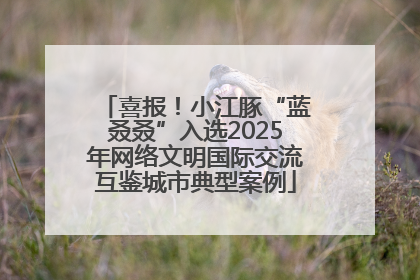 喜报！小江豚“蓝叒叒”入选2025年网络文明国际交流互鉴城市典型案例