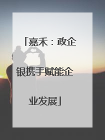 嘉禾：政企银携手赋能企业发展