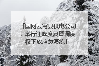 国网云霄县供电公司：举行迎峰度夏暨调度权下放应急演练