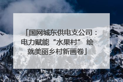 国网城东供电支公司：电力赋能“水果村” 绘就美丽乡村新画卷