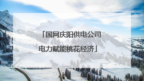国网庆阳供电公司电力赋能桃花经济