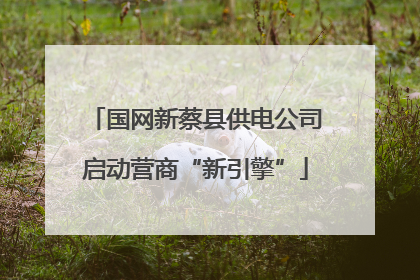 国网新蔡县供电公司启动营商“新引擎”