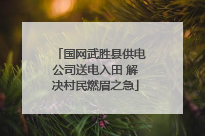 国网武胜县供电公司送电入田 解决村民燃眉之急