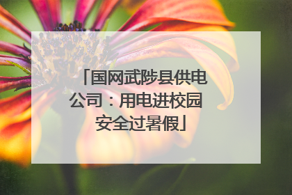 国网武陟县供电公司：用电进校园  安全过暑假