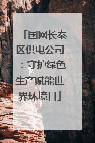 国网长泰区供电公司：守护绿色生产赋能世界环境日