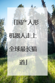 国产人形机器人走上全球最长猫道