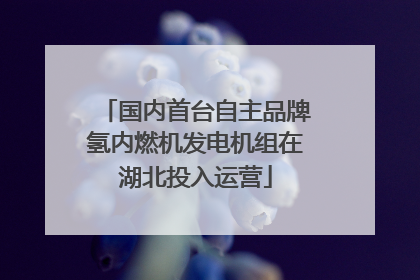 国内首台自主品牌氢内燃机发电机组在湖北投入运营