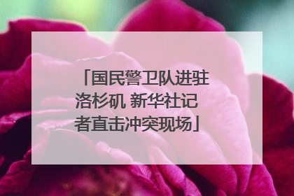 国民警卫队进驻洛杉矶 新华社记者直击冲突现场