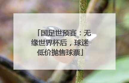 国足世预赛：无缘世界杯后，球迷低价抛售球票